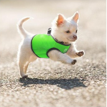 V631-MDPVESTXLLBLU-186072-00 Vest Harness Pet Dog-Cat Step-in Velcro and Buckle Attachments - Moondidley Pets X-Large Light Blue - Image 1