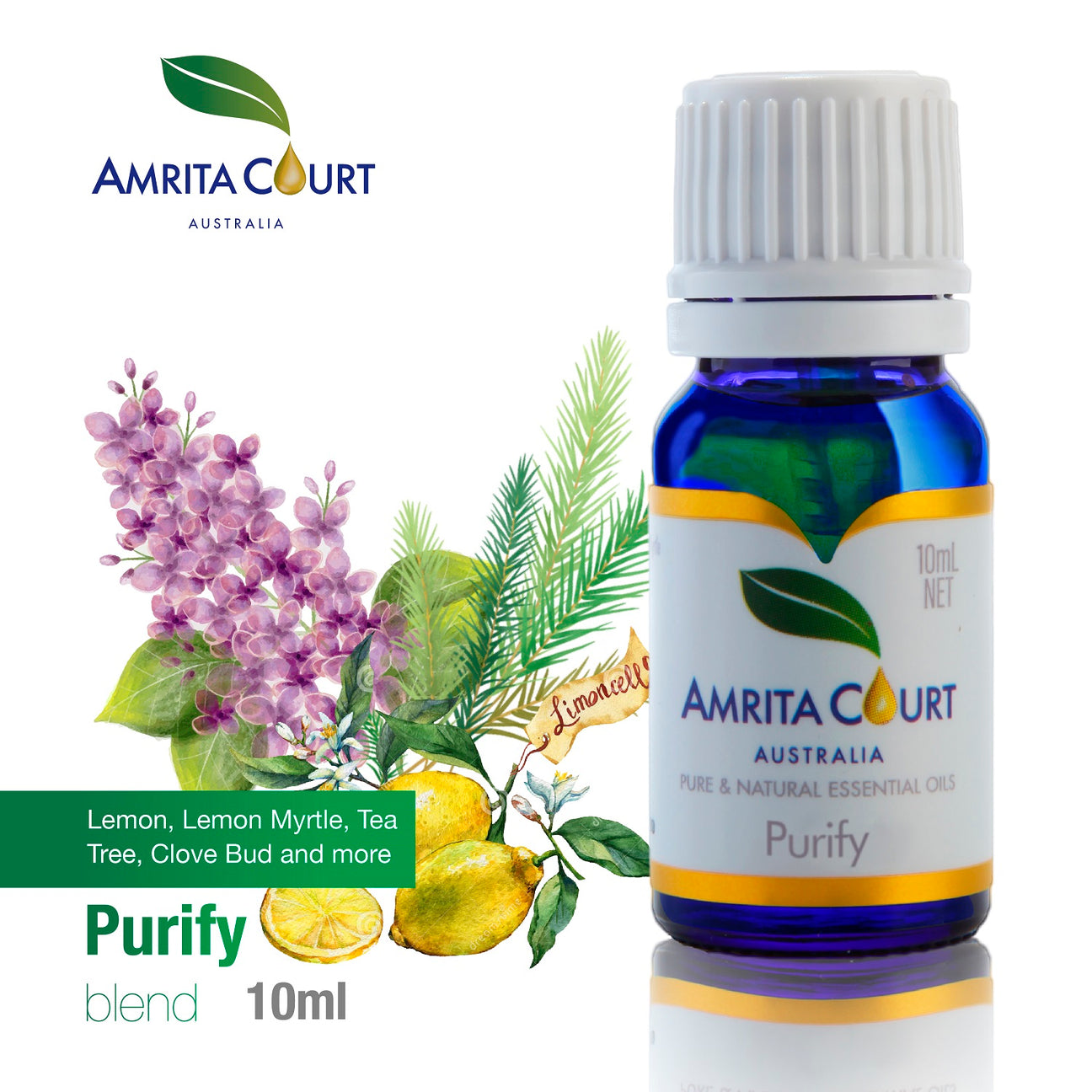 V760-A-2-195305-00 Amrita Court Pure and Essential Oils Purify 10ml - Image 1