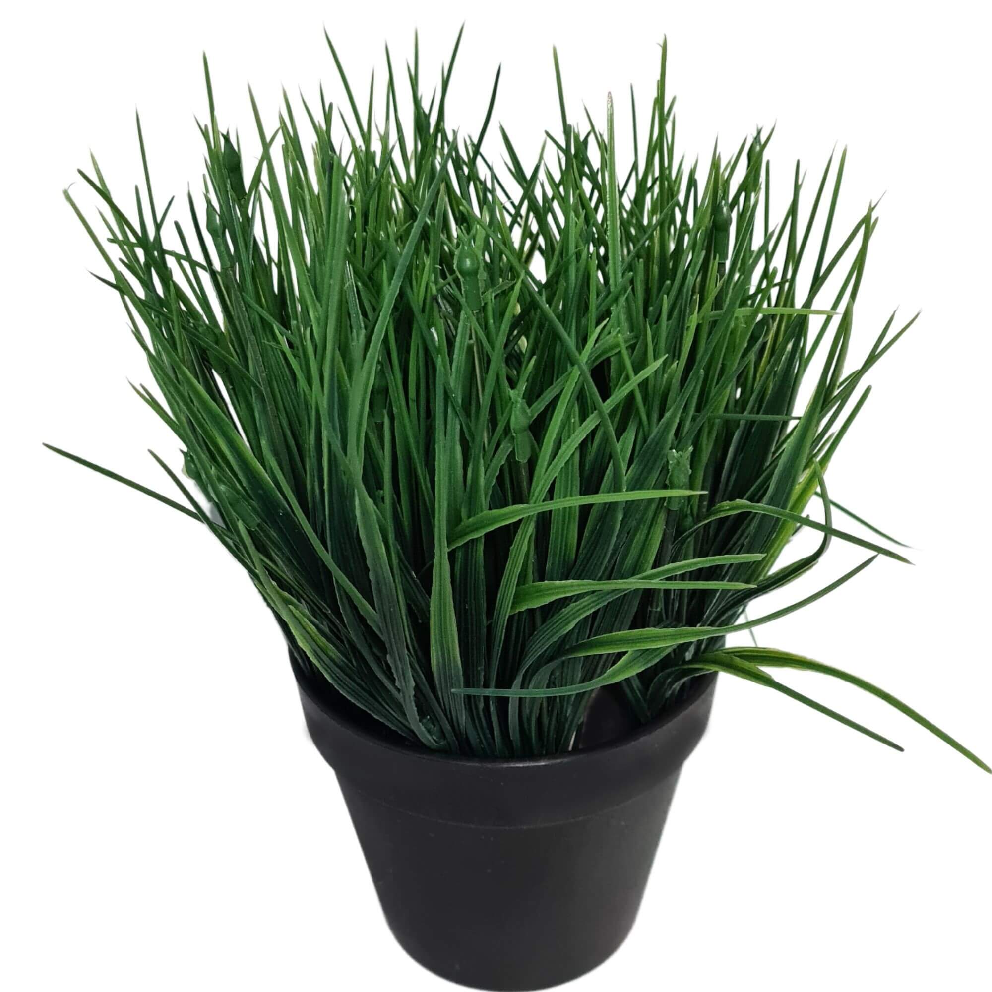V77-1197418-1197418-00 Artificial Ornamental Potted Dense Green Grass UV Resistant 30cm (Overstock Clearance) - Image 1
