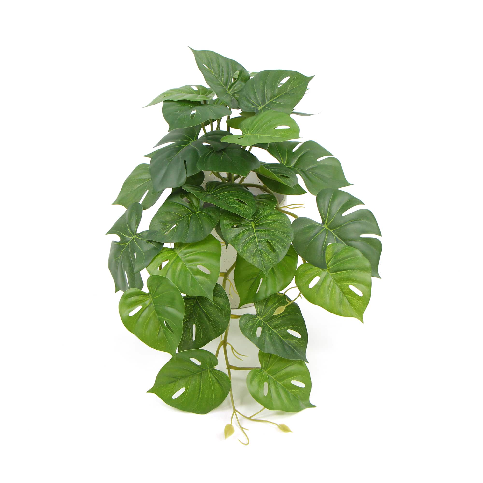V77-751890127-751890127-00 Decorative Ceramic Bowl Potted Artificial Monstera Plant 30cm - Image 1