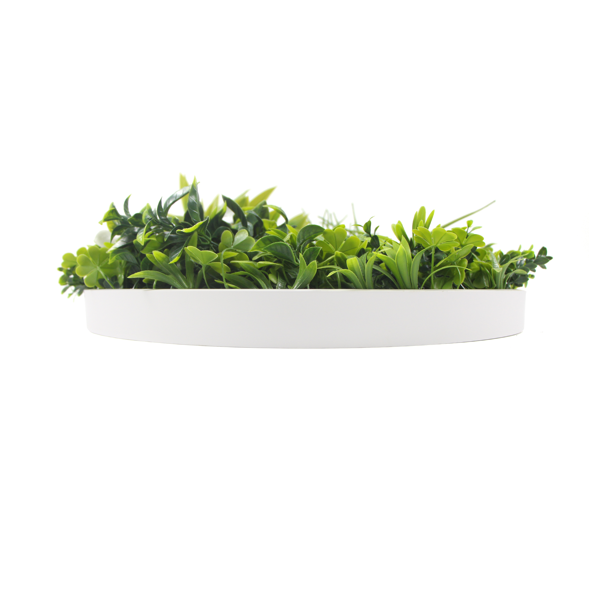 V77-8880011_5_1 Flowering White Artificial Green Wall Disc UV Resistant 75cm (White Frame) - Image 1
