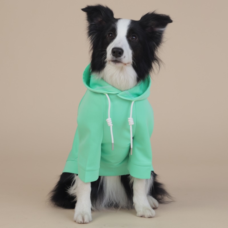 V888-ELOSUNG19162-227275-00 7XL Green Cute Dog Hoodie with Adjustable Drawstring - Available in Various Sizes - Image 1