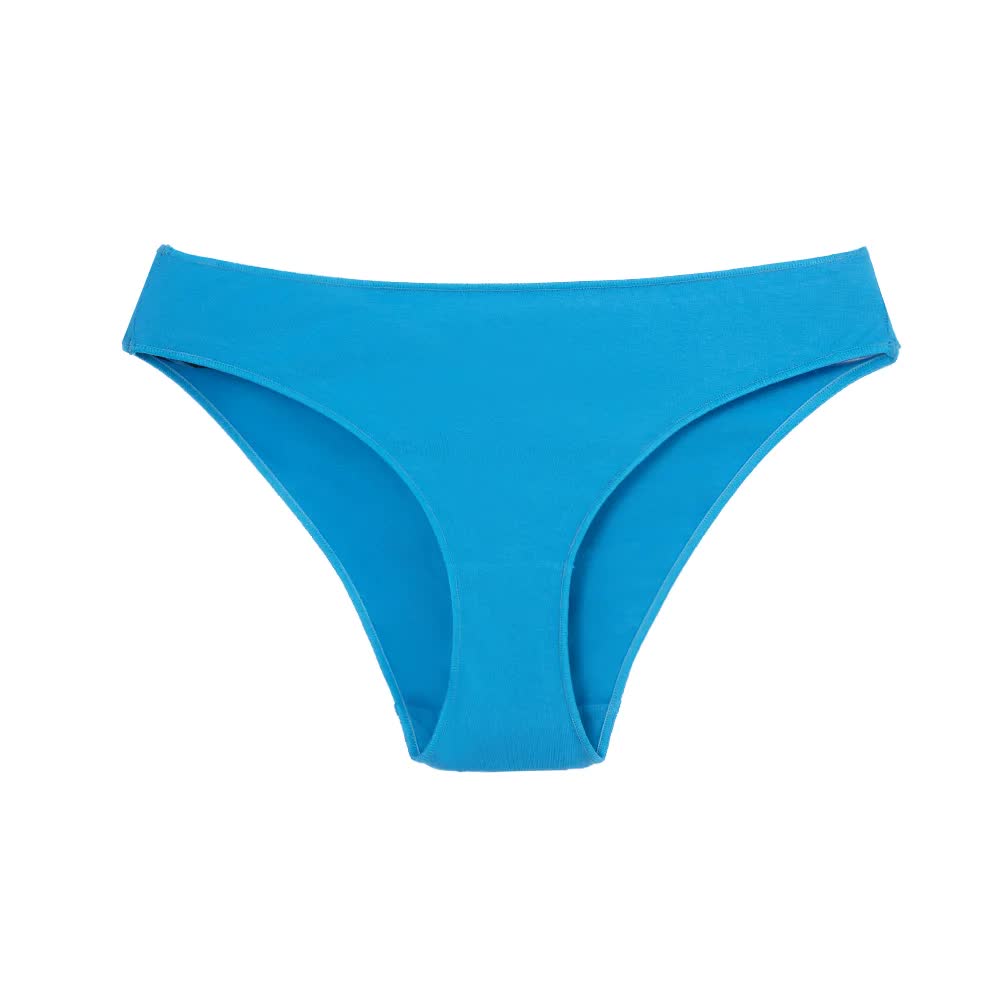 V888-ELOSUNG20158-224249-00 4 pcs Blue Aster High-Waisted Cotton Bikini Briefs for Women, Slim Fit & Comfortable XL Size - Image 1