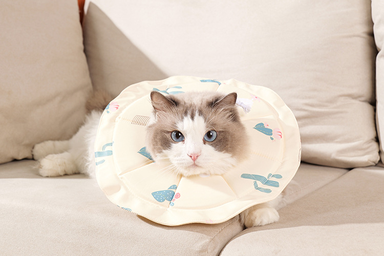 V888-ELOSUNG23811-202504141445-00 2 Pcs Size S Beige Comfortable Pet Recovery Collar | Waterproof Anti-Lick Collar for Cats & Dogs - Image 1