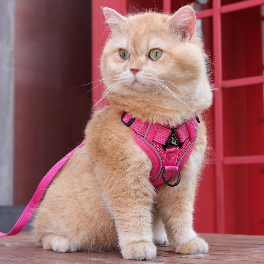 V888-ELOSUNG26070-202504141625-00 Rose Red Reflective Mesh Dog Harness and Leash Set - Adjustable No-Pull Vest - XL - Image 1