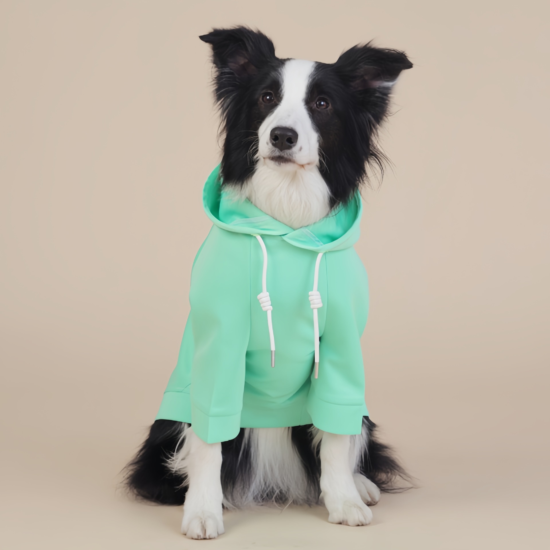 V888-ELOSUNG26788-202505131938-00 Green Classic Dog Sweatshirt with Hood & Drawstrings - For Large Dogs (Size : 4XL) - Image 1