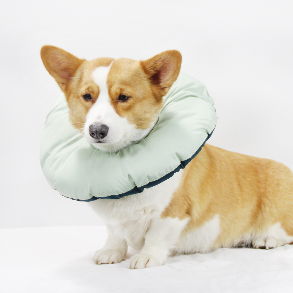 V888-ELOSUNG26969-202505191417-00 Green Adjustable Soft Elizabethan Collar for Pets - Comfortable Recovery Aid - M - Image 1