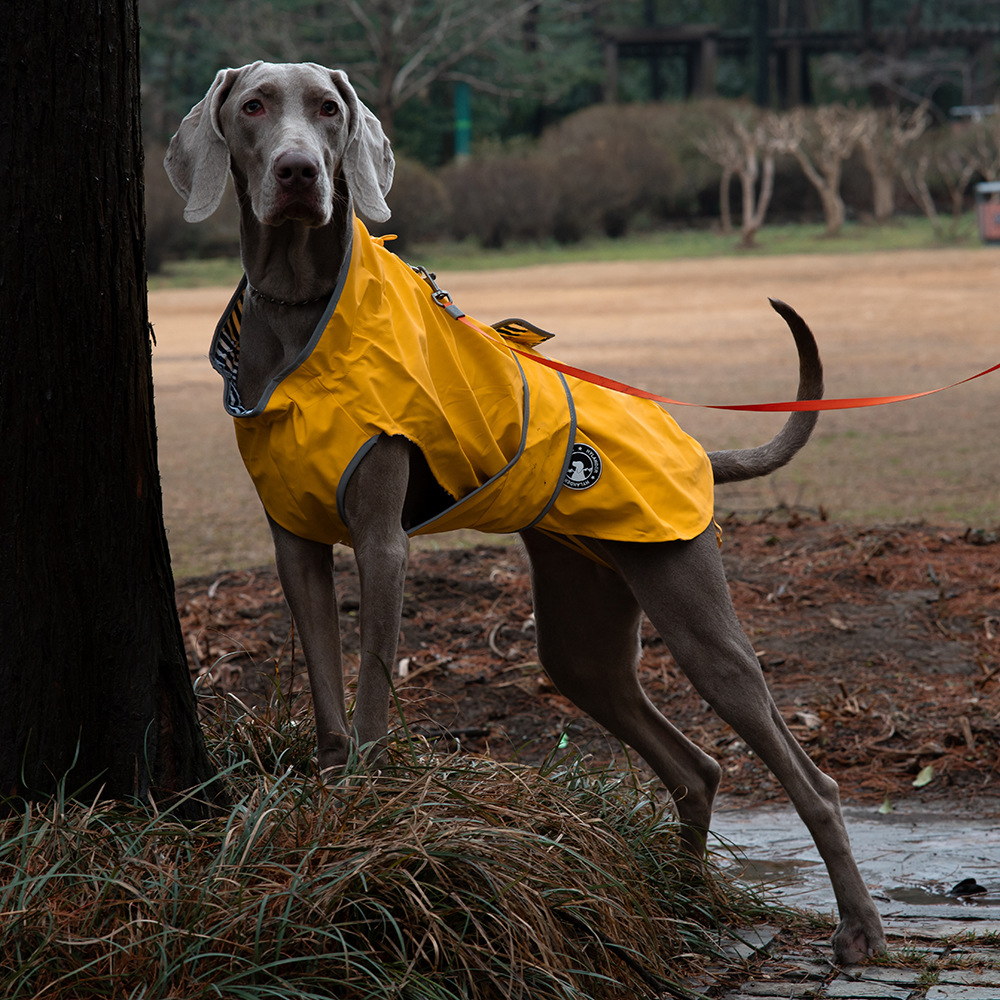 V888-ELOSUNG28793-202505231152-00 60# Yellow Waterproof Reflective Dog Raincoat for Small to Large Dogs - Image 1