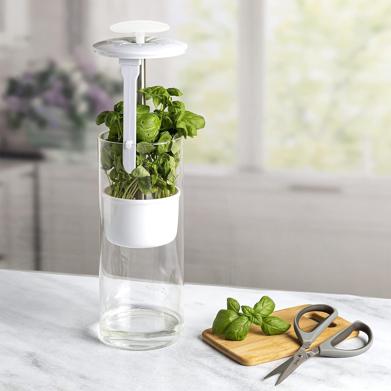 V888-ELOSUNG28821-202505231305-00 White Premium Herb Savor & Freshness Keeper - Extends Life of Herbs, Cilantro, Parsley & More - Image 1