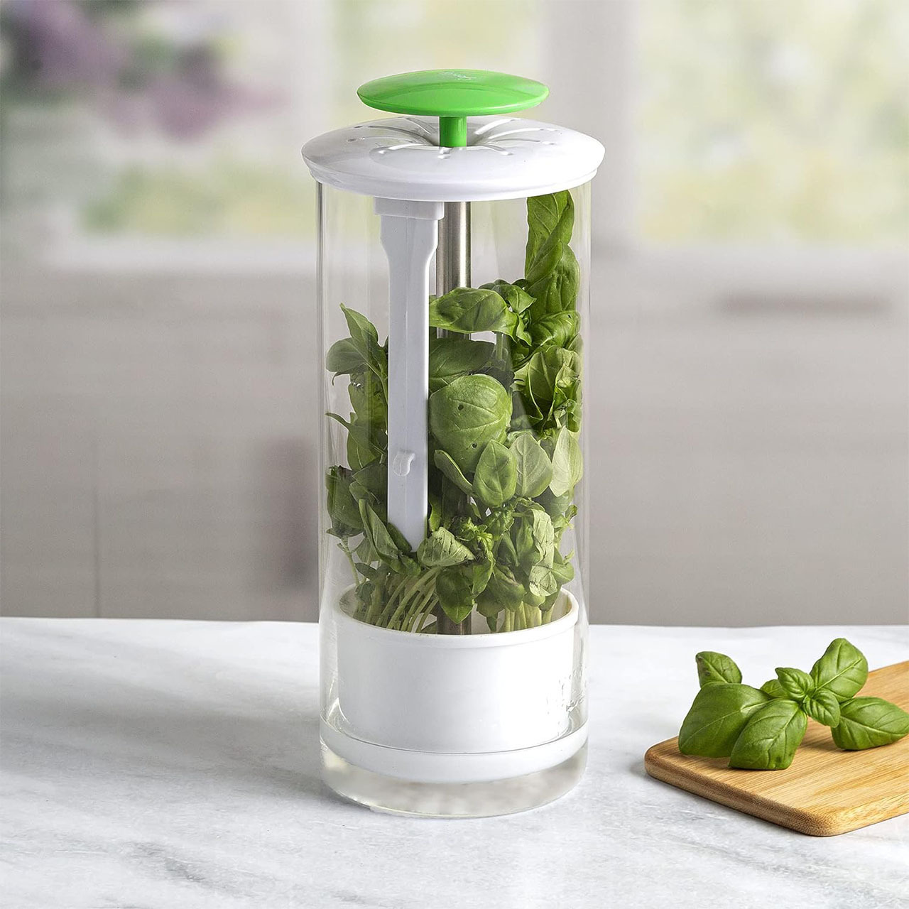 V888-ELOSUNG28822-202505231252-00 Green Premium Herb Savor & Freshness Keeper - Extends Life of Herbs, Cilantro, Parsley & More - Image 1