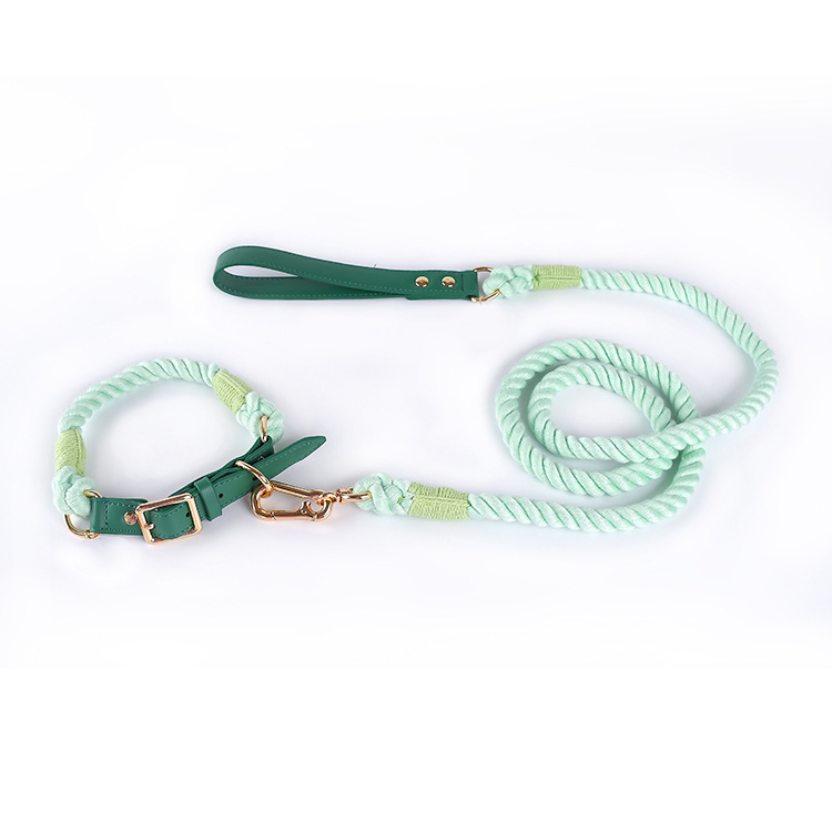 V888-ELOSUNG31095-202505231240-00 Premium Leather Pet Collar and Leash - Soft, Strong Braided Rope (Green - Size S) - Image 1