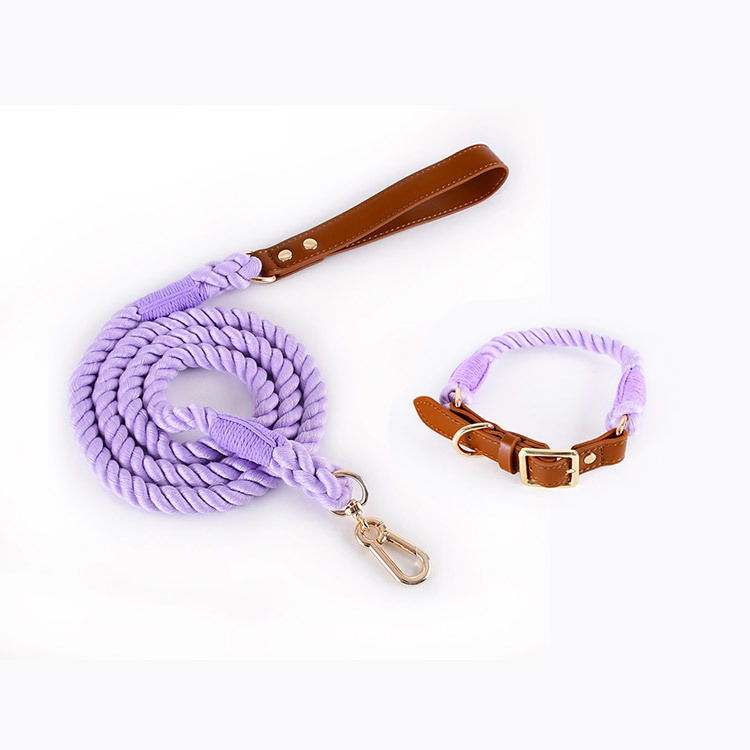 V888-ELOSUNG31218-202505281112-00 Premium Leather Pet Collar and Leash - Soft, Strong Braided Rope (Purple - Size S) - Image 1