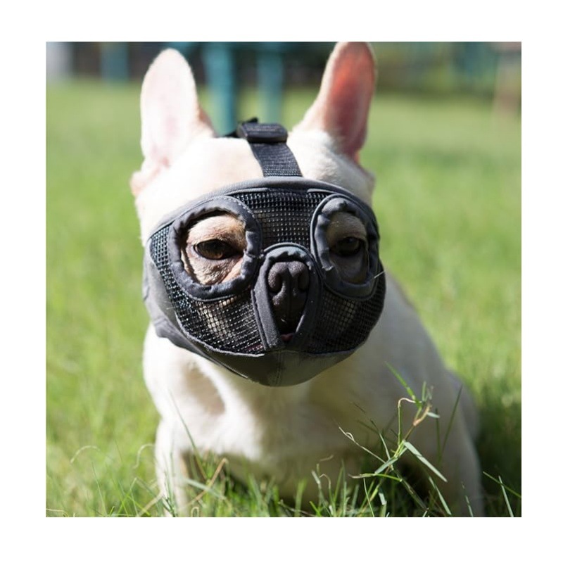 V888-ELOSUNG34053-202506041901-00 Black Adjustable Breathable Mesh Dog Muzzle for Short-Nosed Breeds(Size L) - Image 1