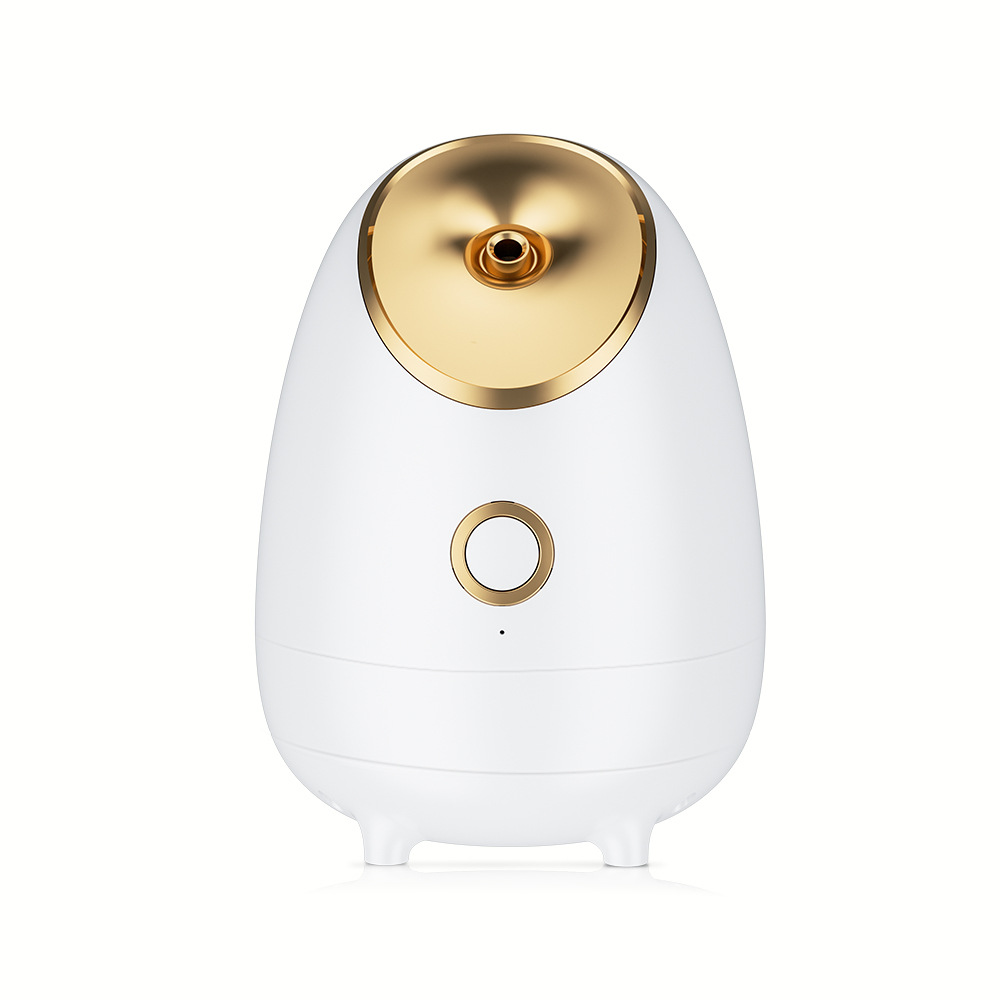 V888-ELOSUNG35024-202506191245-00 Nano Ionic Facial Steamer - Deep Hydration Hot Mist Face Steamer for Home Spa & Skincare(gold) - Image 1
