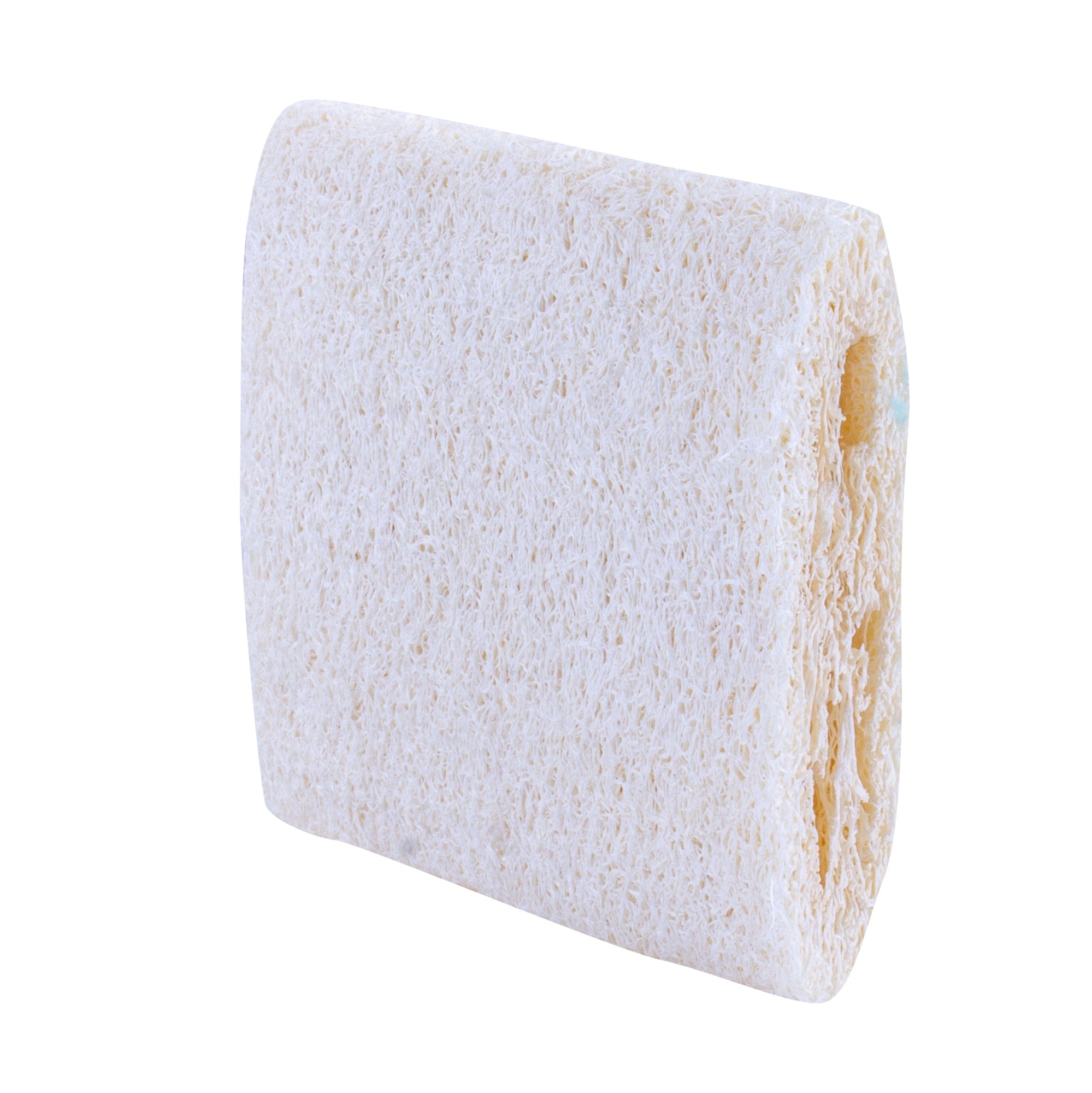 V915-CV0264X3-203813-00 Clevinger 3PC Natural Scouring Pad - Image 1