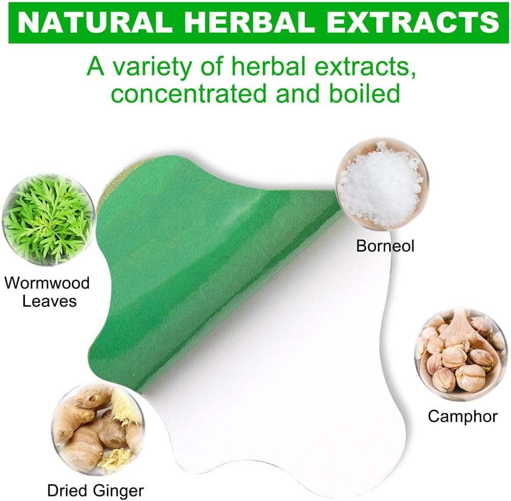 V932-AL-JDD4-4LF1-217132-00 Flexiback Lumbar Spine Pain Relief Patch, Heat Long-Lasting (36pcs/3box) - Image 1