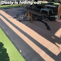 V941-2HORSE3X18-211651-00 Horse 3m x 1.8m recycled mat - Image 1