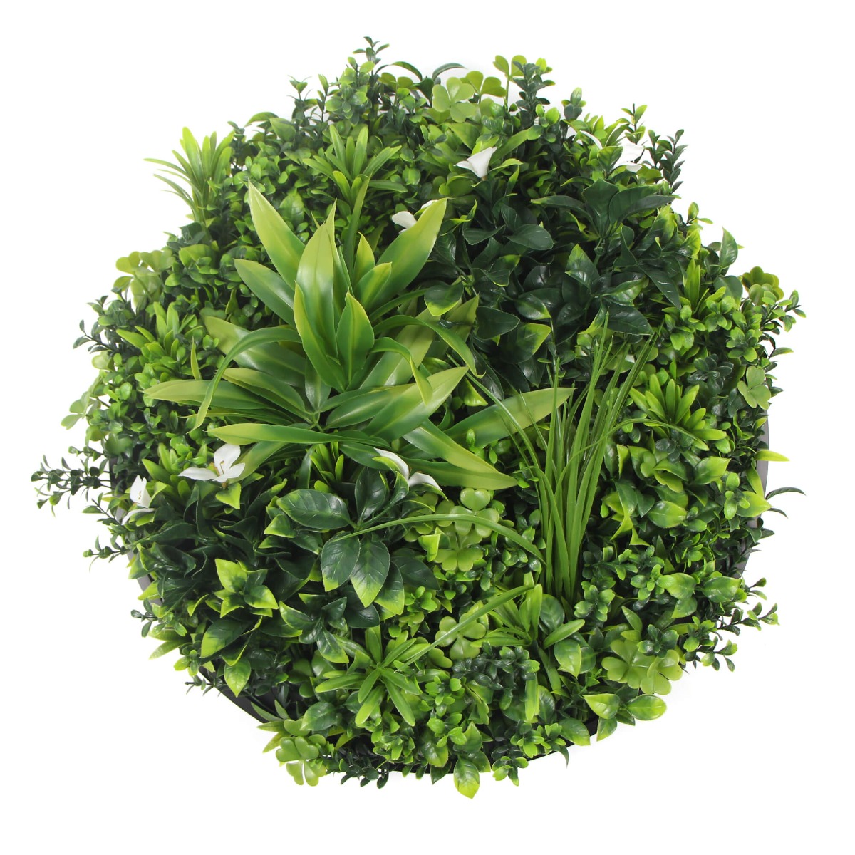 artificial_green_wall_disc Flowering White Artificial Green Wall Disc UV Resistant 50cm (Black Frame) - Image 1