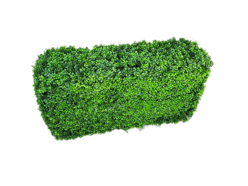c__fakepath_35882058_10216943798327401_2818423493152997376_n-1-1-1_8 Deluxe Portable Buxus (Bright) UV Resistant 100cm Long x 50cm High x 25cm Wide - Image 1