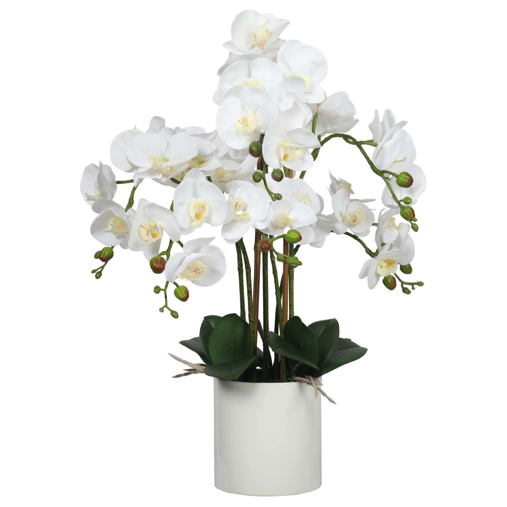 fc2a8879-min_8 Large Multi-Stem White Potted Faux Orchid 65cm - Image 1