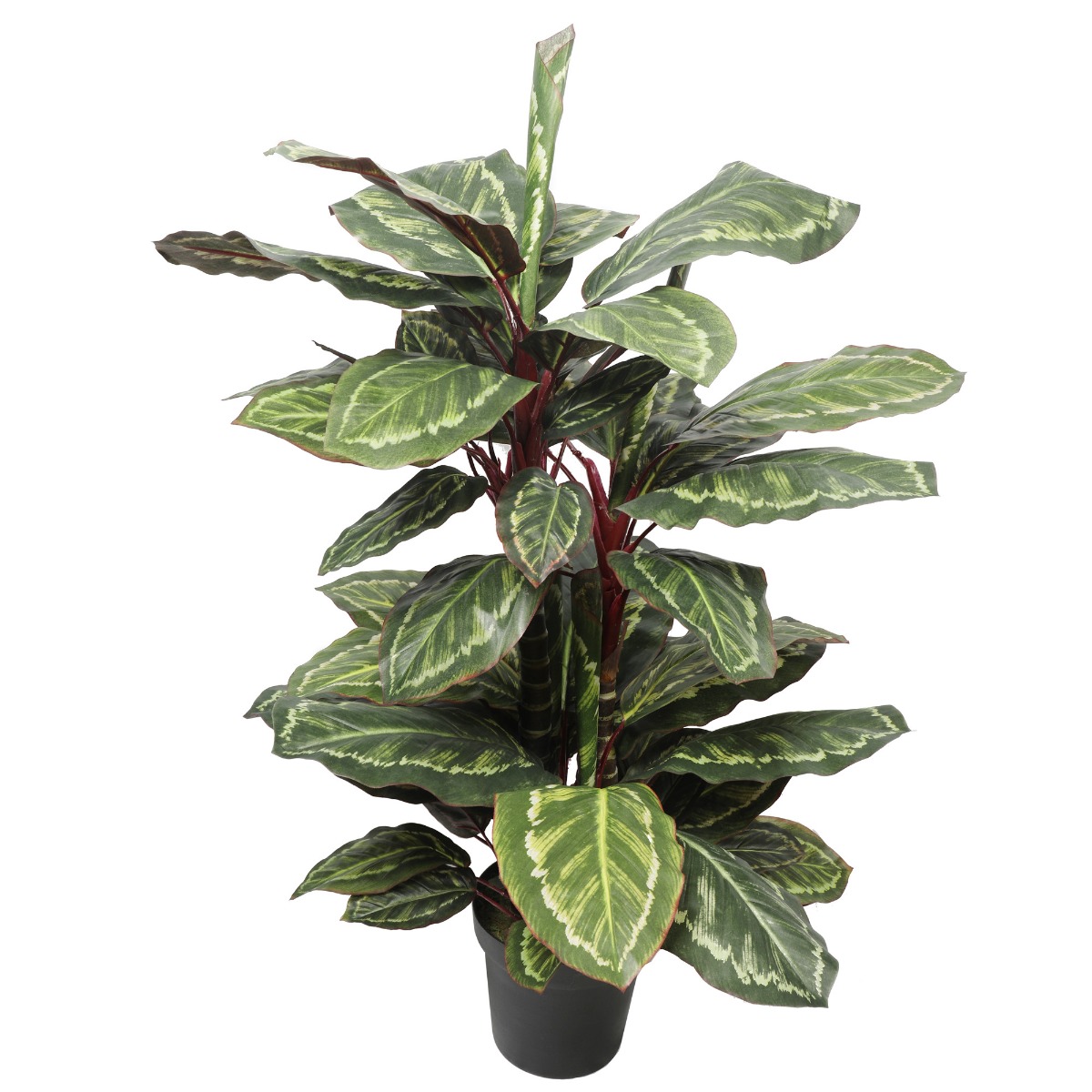 fc2a9067_8 Artificial Wide Leaf Cordyline Plant 90cm - Image 1