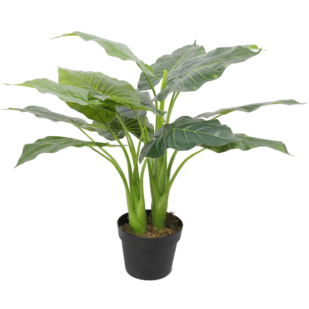 fc2a9524_7 Artificial Potted Taro Plant / Elephant Ear 70cm - Image 1