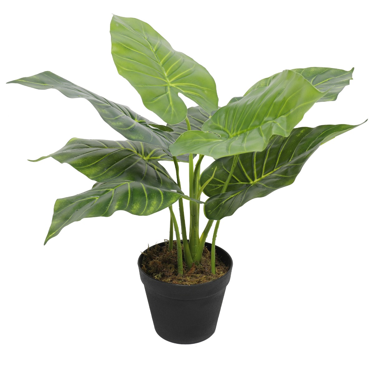 fc2a9557_8 Artificial Potted Taro Plant / Elephant Ear 55cm - Image 1