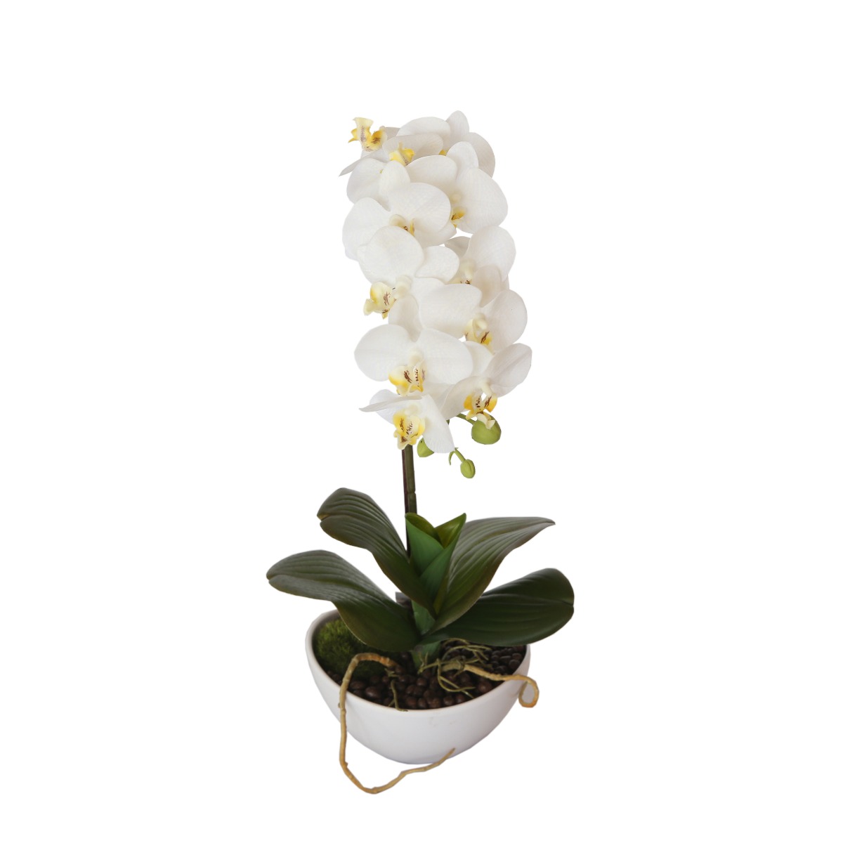 kd9238_2__3 46cm Butterfly Orchid - White - Image 1