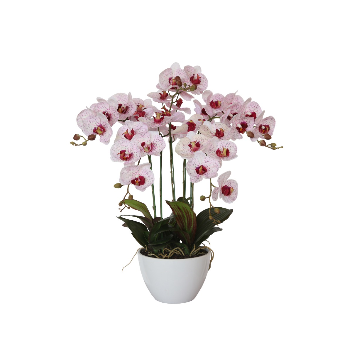 kd9251_3__3 66cm Multi Butterfly Orchid - Pink - Image 1