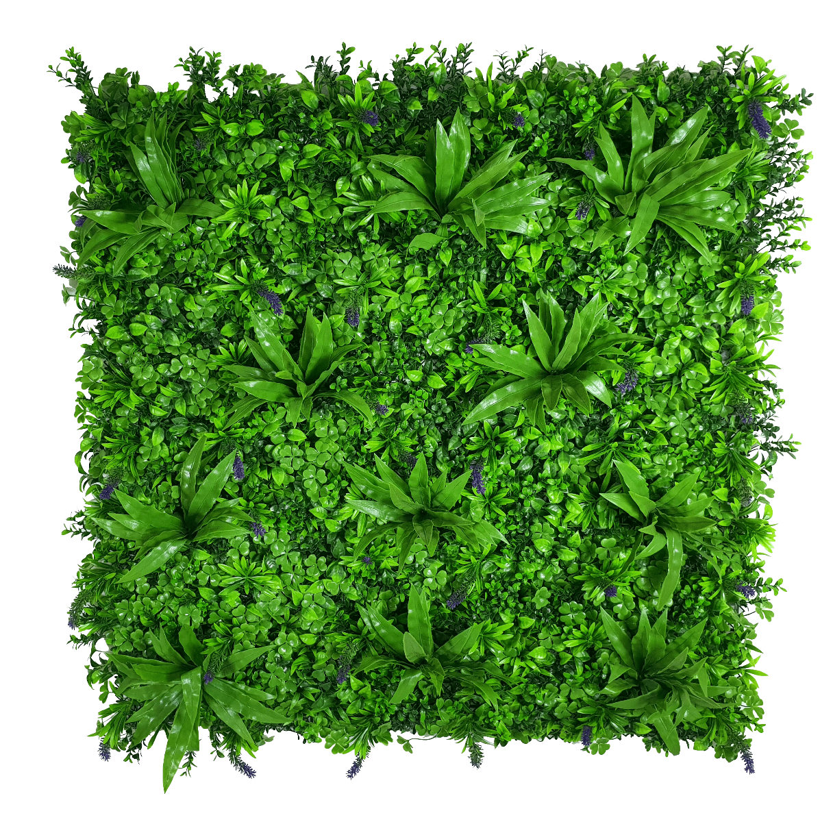 lavandula_new_13 Lavandula Vertical Garden UV Stabilised - Image 1