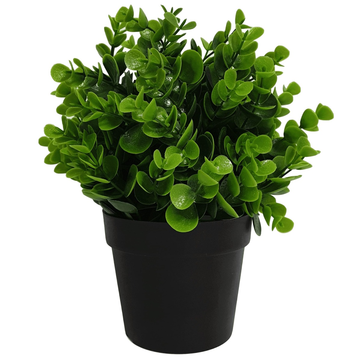 small_potted_artificial_pepperomia_plant_1_1__12 Small Potted Artificial Peperomia Plant UV Resistant 20cm - Image 1