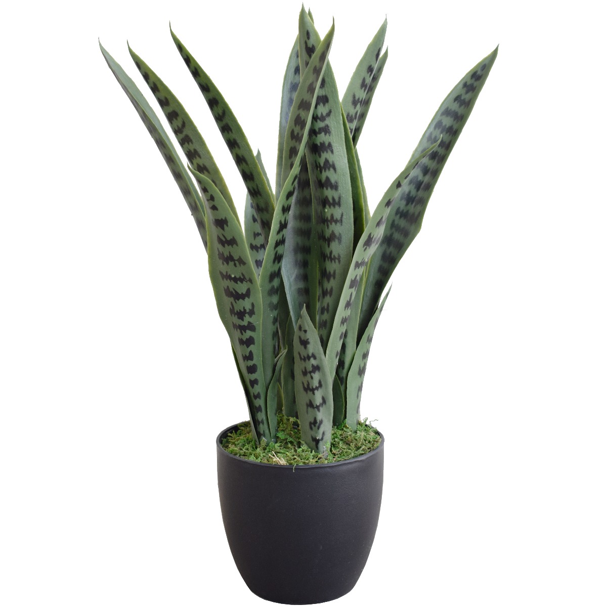 snake-plant_60cm_1_3 Artificial Snake Plant UV Resistant 60cm - Image 1