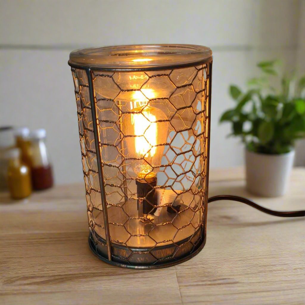 V1049-EBCHW-202508141725-00 Chicken Wire Edison Bulb Illumination Warmer - Image 1