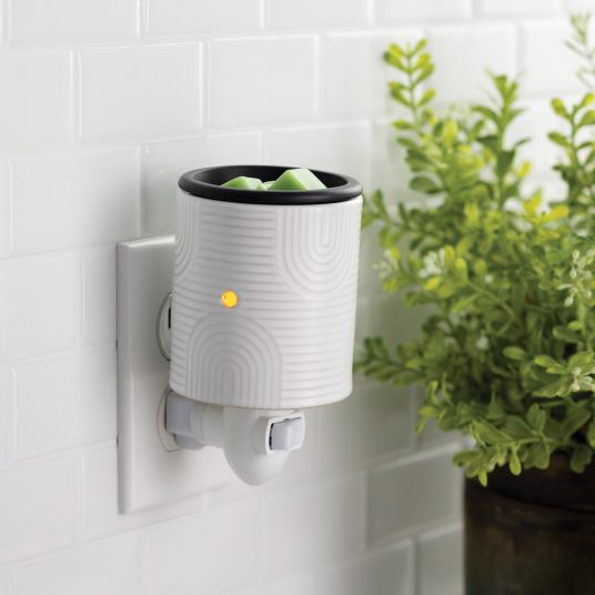 V1049-PIARD-202508141735-00 Arch Deco Flip Dish Pluggable Warmer - Image 1