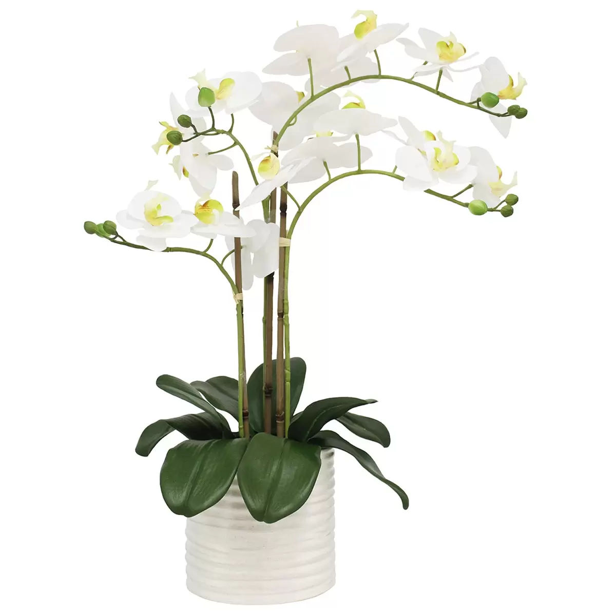 V178-68919-202508051110-00 Artificial Orchid With Ribbed Pot 67cm - Image 1