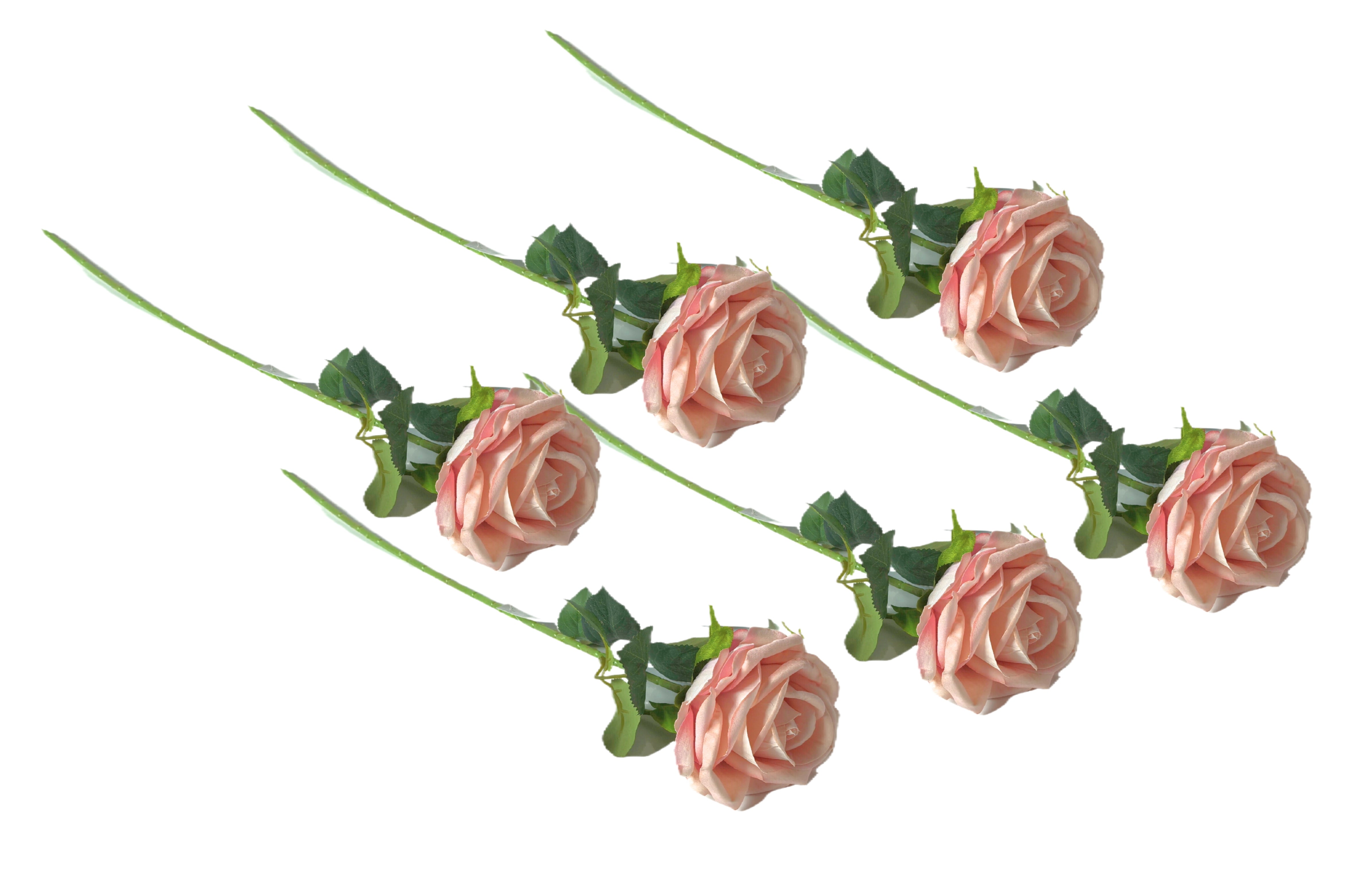 V292-HD-PLANT-STEMROSE-64CM-SOFTPINK-SO6-202509031641-00 Artificial Single Stem Rose 64cm - Soft Pink- Set of 6 Stems - Image 1