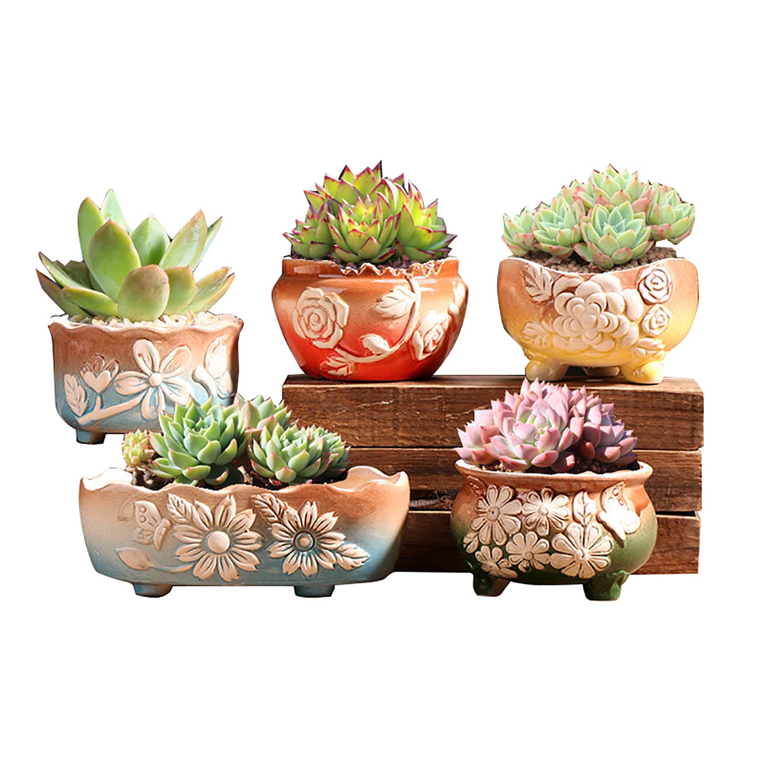 V462-HG-174-01-202509220835-00 Set of 5 Succulent Plant Pots Flower Patterned with Drainage Holes - Image 1