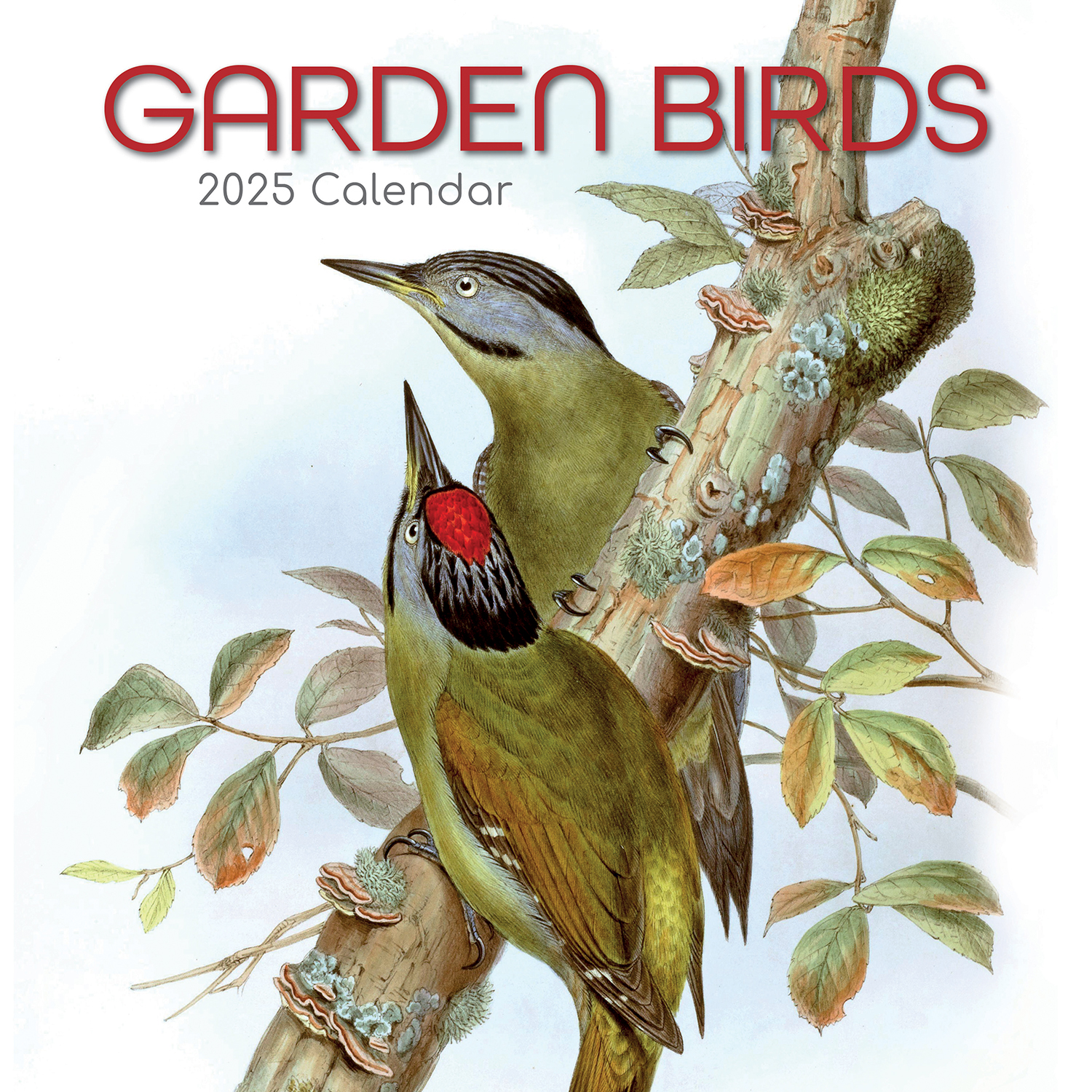 V474-689617-202507050140-00 Garden Birds - 2025 Square Wall Calendar Pets Animals 16 Months Premium Planner - Image 1
