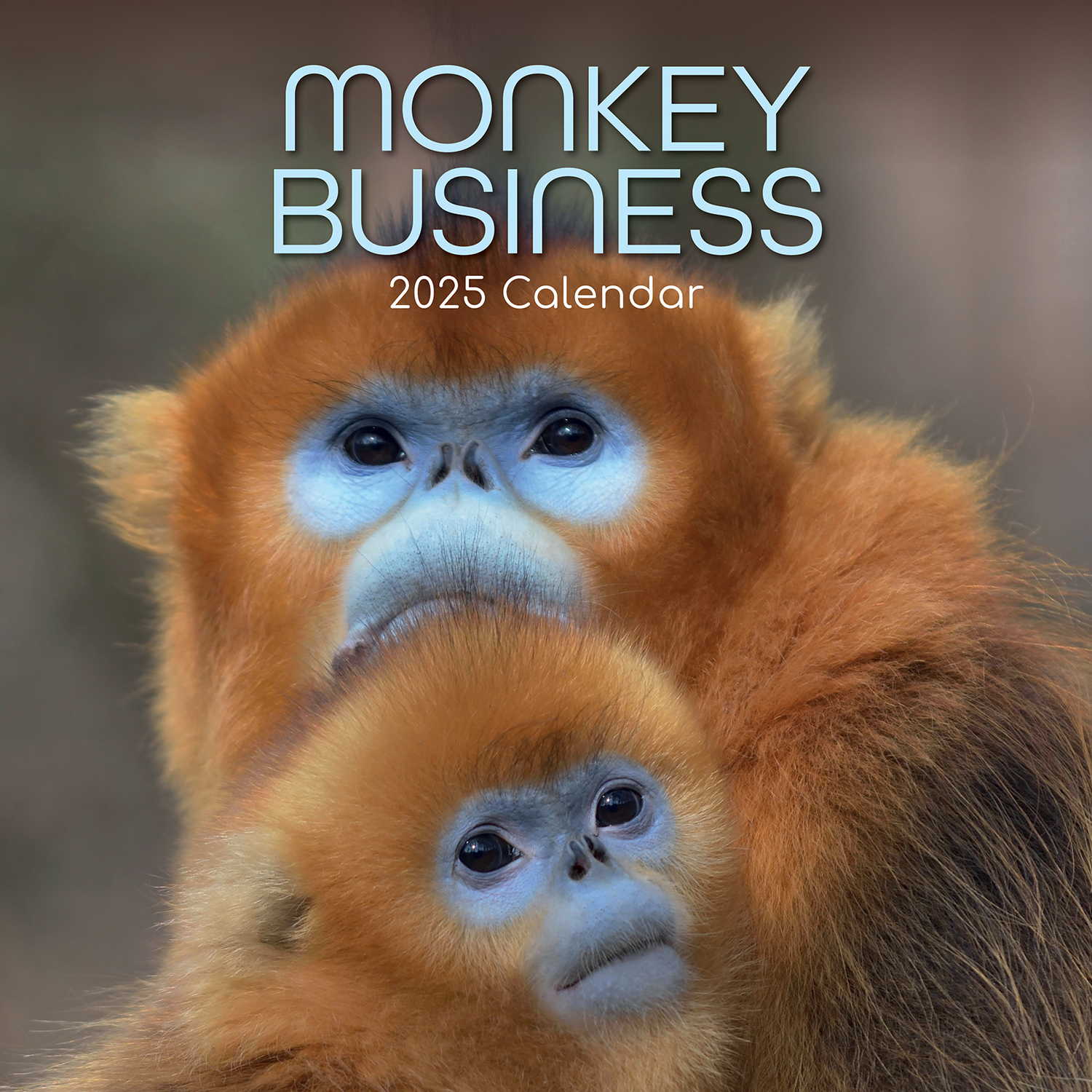 V474-689626-202507050140-00 Monkey Business 2025 Square Wall Calendar Animals 16 Months Premium Planner Gift - Image 1