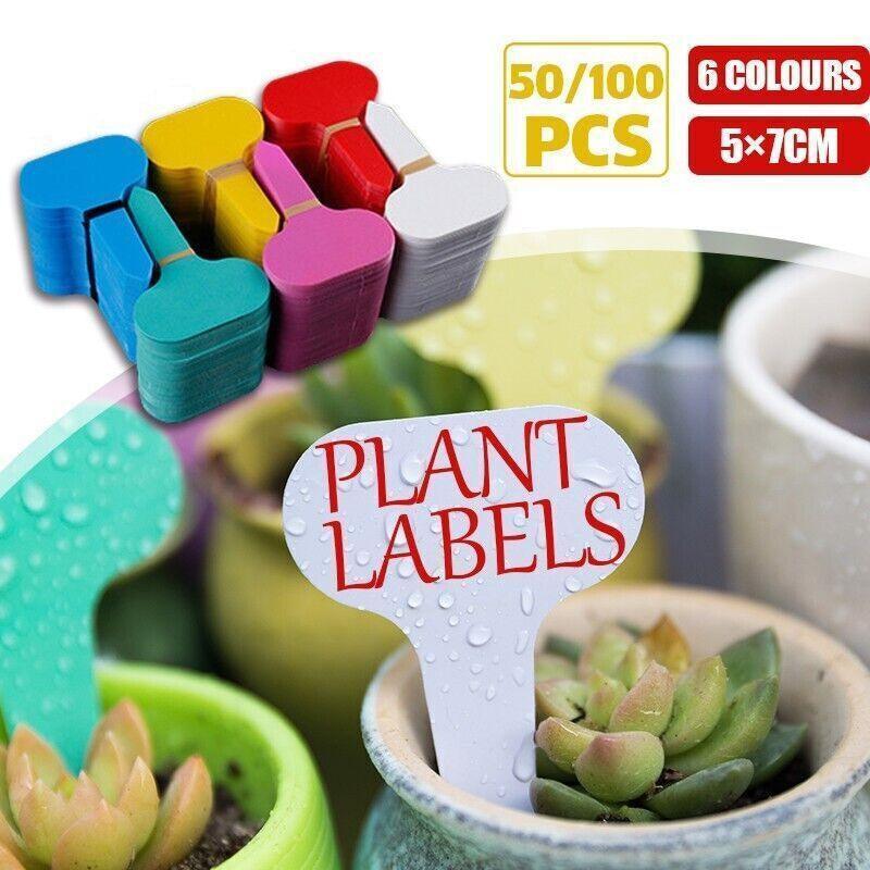V528-9360312079288-202509302009-00 T Plant Labels 50-100Pcs 6 Colours Garden Stakes Markers Tags Nursery Seedling - Red - Image 1
