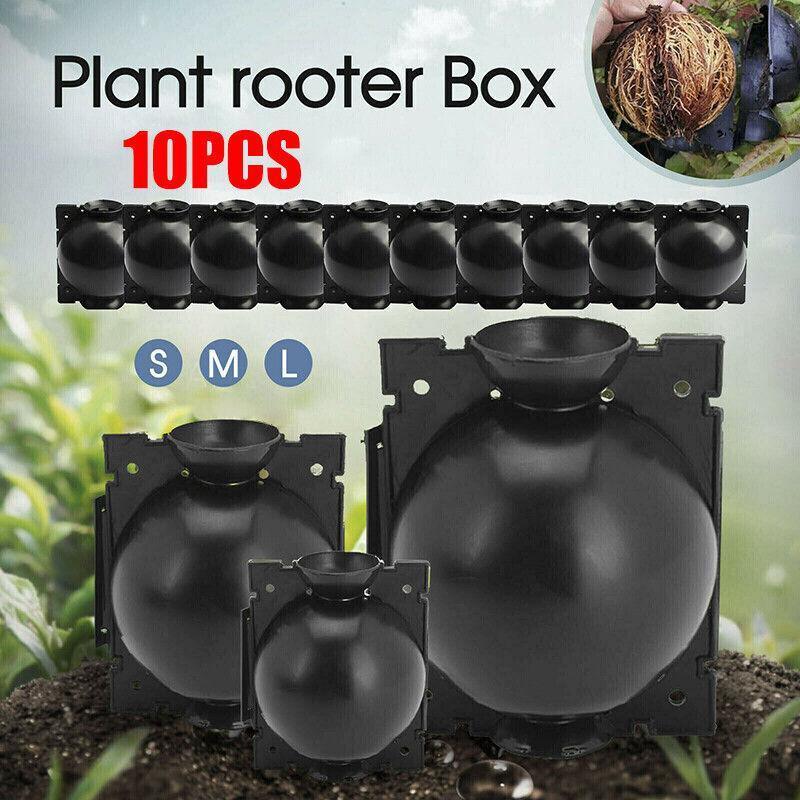V528-BREEDER-SMALL-10PCS-14681-202509251440-00 10Pcs Plant Rooting Ball High Pressure Propagation Box Grafting Breeding Device - S-5CM-10PCS - Image 1