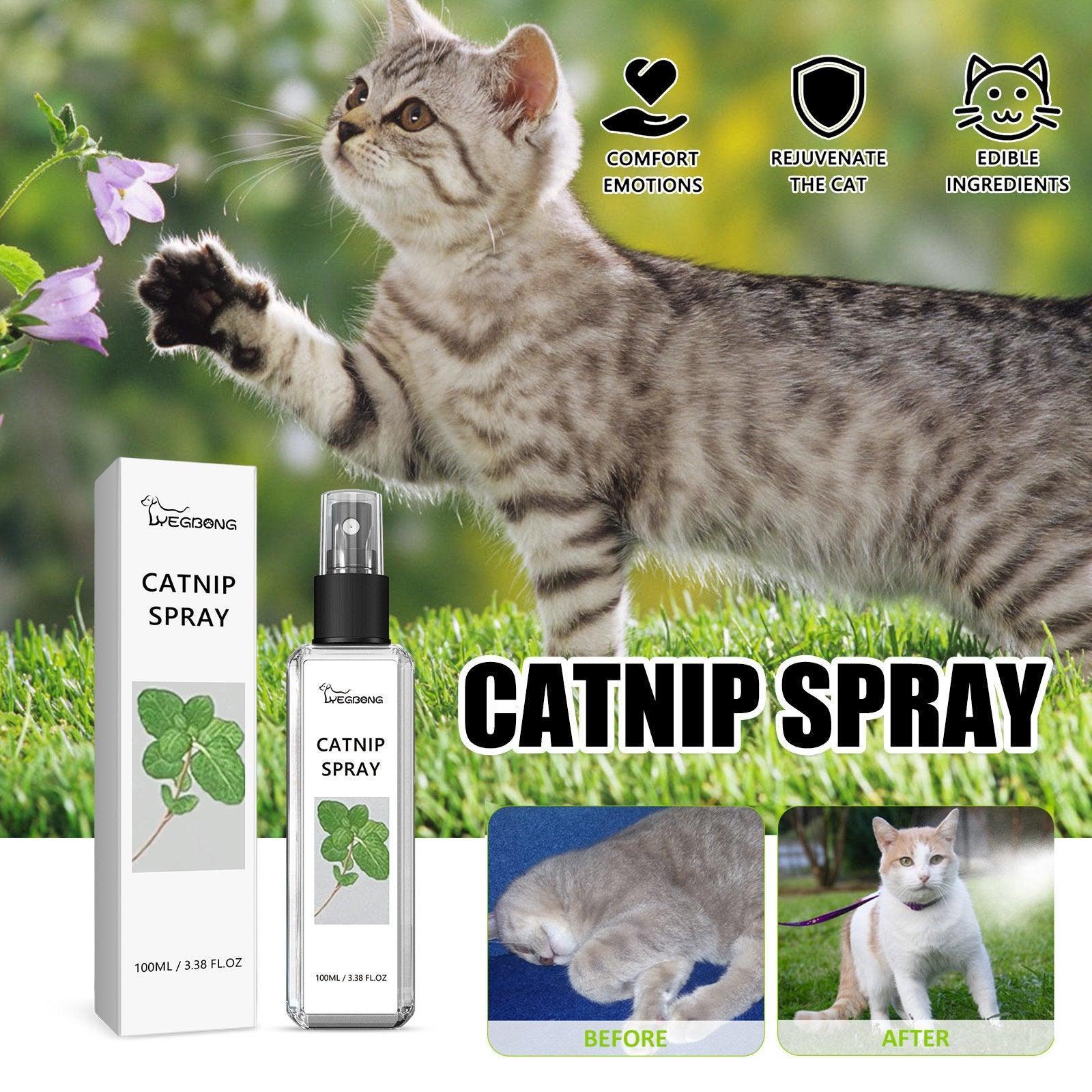 V528-CATNIP-SPRAY-728884-202509291500-00 Catnip Spray Relieves Cat Anxiety Boosts Vitality Pet Health Care Natural Spray - Image 1