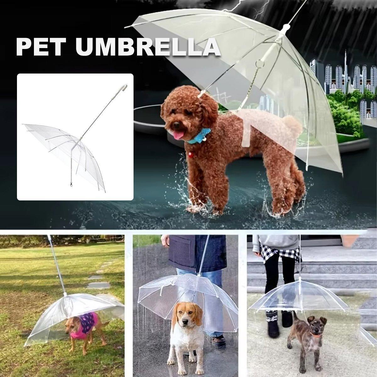 V528-PET-UMBRELLA-485281-202509251221-00 Pet Dog Transparent Umbrella 30 inch Diameter With Dog Leash For Rain Walking Outdoor - Image 1