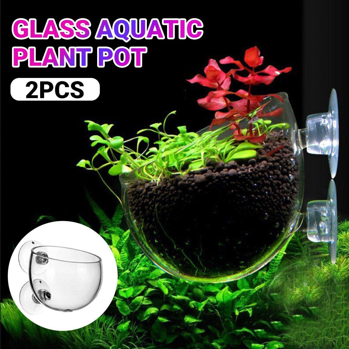 V528-PLANT-CUP-2PCS-576970-202509251346-00 Aquarium Plant Cup for Breeding and Aquascaping Glass Water Plant Holder - Image 1