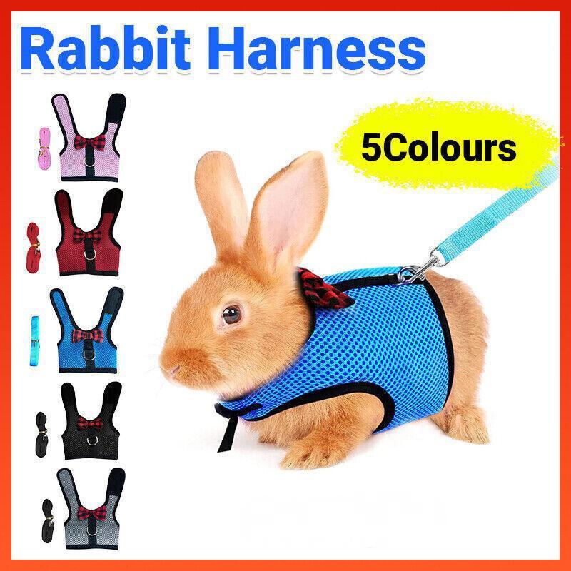 V528-RABBITHARNESS-RED-S-312311-202510010509-00 Rabbit Vest Harness Leash Lead Small Animal Pet Mesh Hamster Bunny Traction Rope S - Red - Image 1