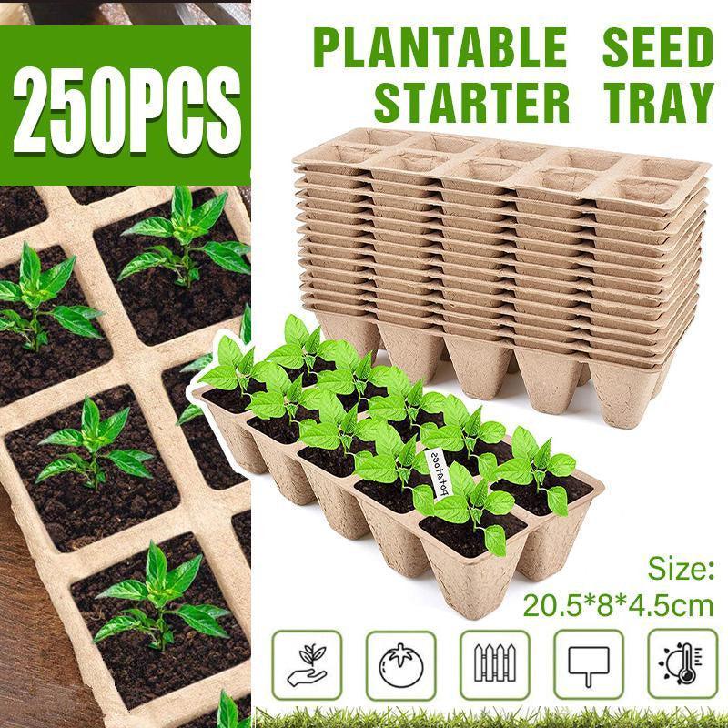V528-SQ000171-10G-250PCS-813144-202509251646-00 250x 10Grids Nursery Pots Biodegradable Paper Pulp Cup Garden Plant Nursery Tray - Image 1