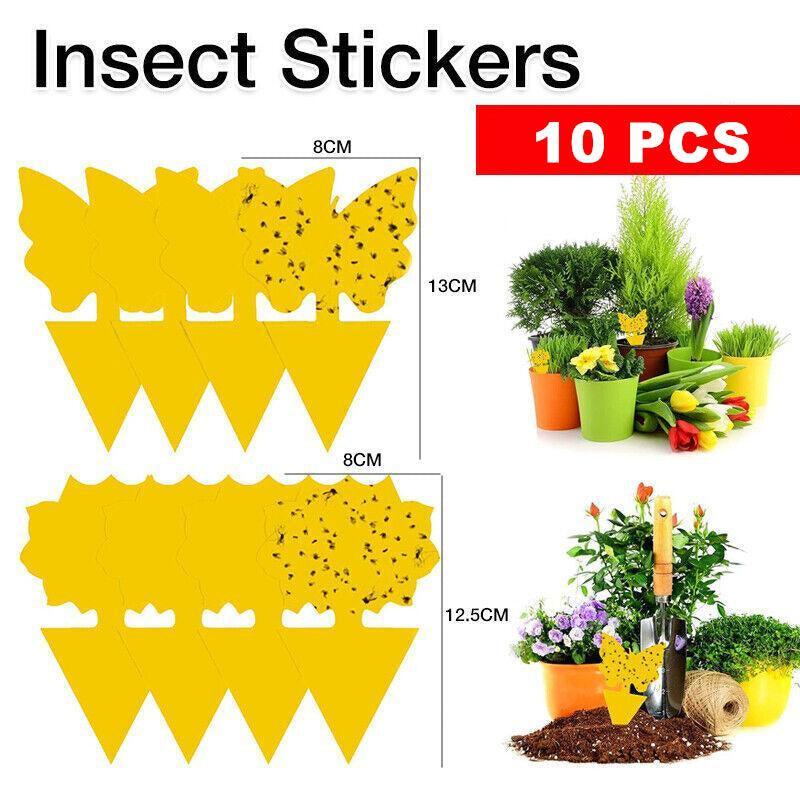 V528-STICKYTRAP-SUNFLOWER-30PCS-123545-202510010200-00 10X Dual Sided Sticky Trap Insect Killer Whitefly Thrip Fruit Fly Gnat - Sunflower 30PCS - Image 1