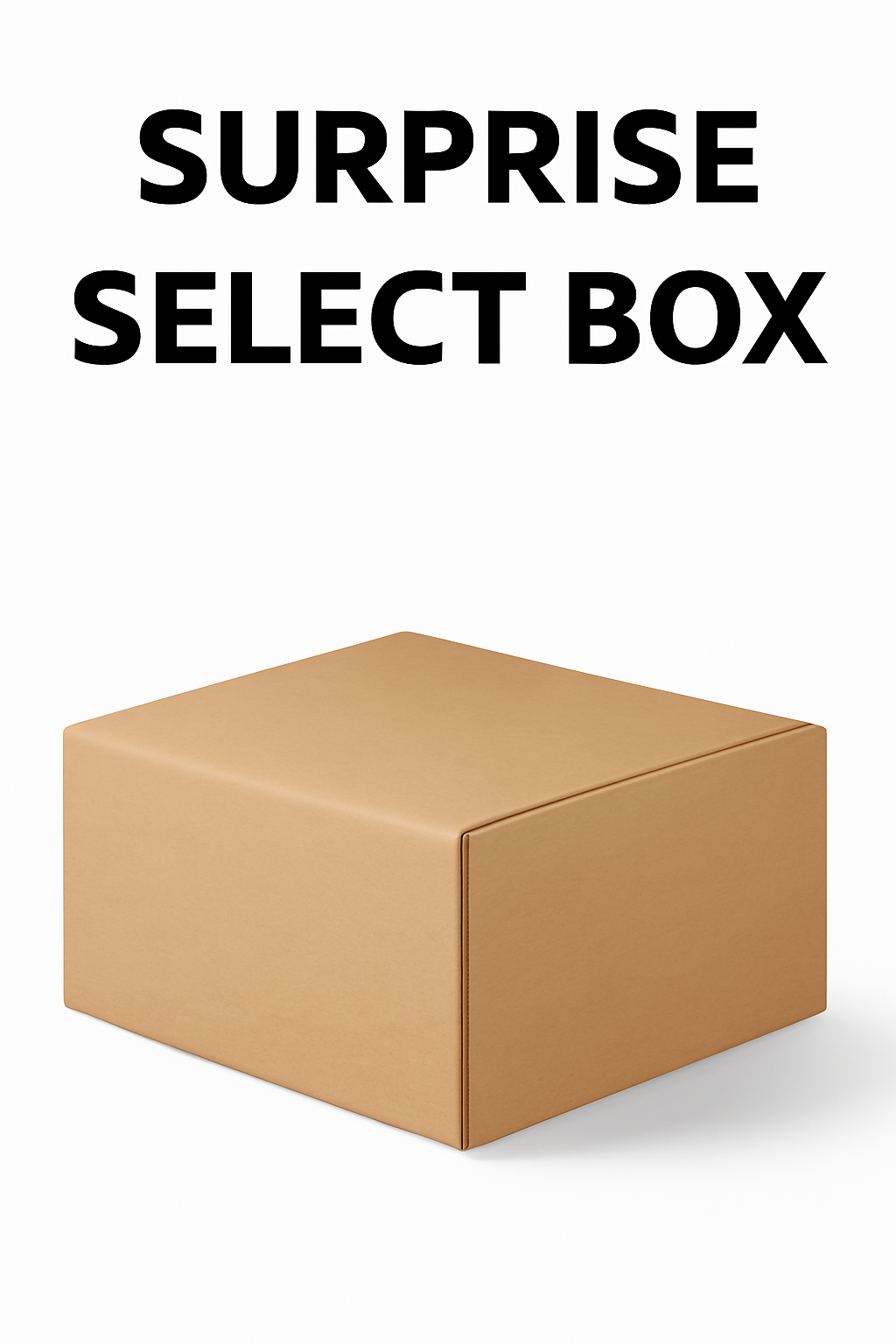 V563-SURPRISESELECTBOX-202508260910-00 The Surprise Select Box - Image 1