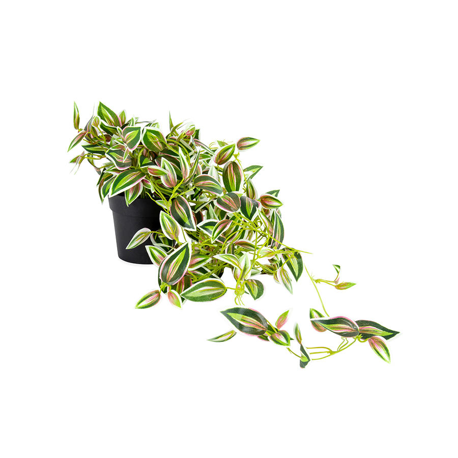 V637-05048HNG-202508251425-00 Potted Hanging Artificial Verigated Weeper 72cm - Image 1