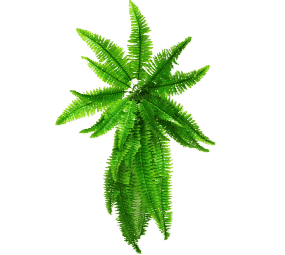 V637-1012587-202508251330-00 Artificial Boston Hanging Fern 102cm - Image 1